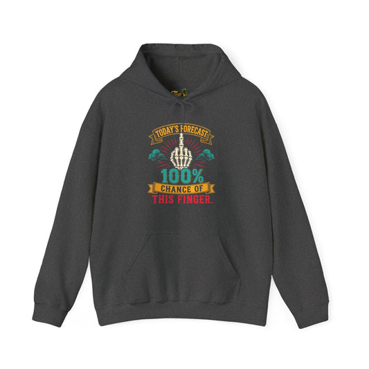 Today's Forecast - Hoodie - Multiple Colors
