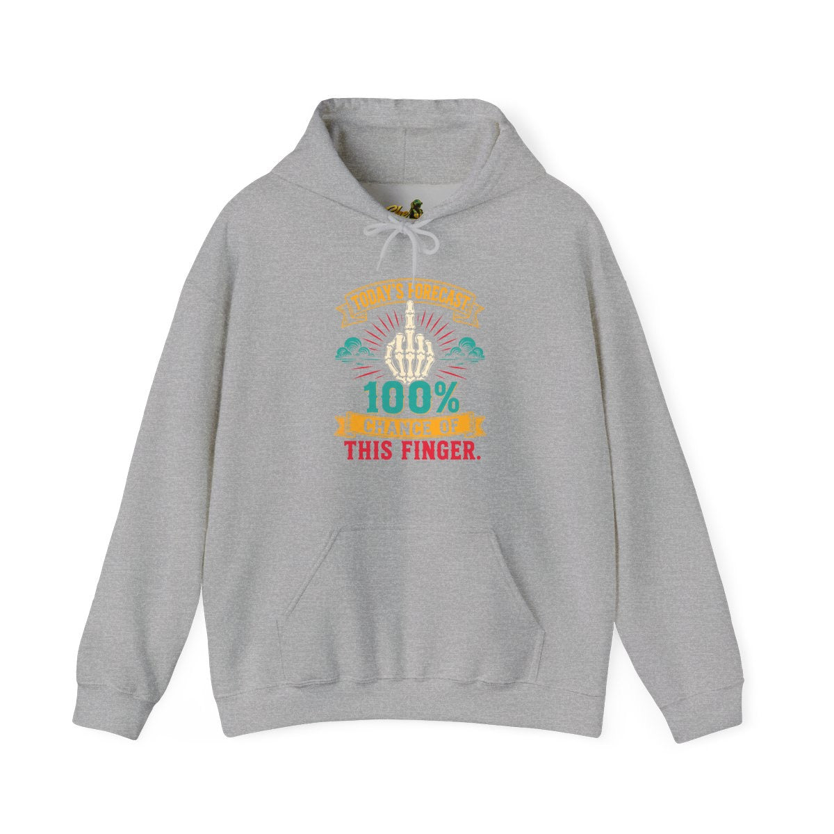 Today's Forecast - Hoodie - Multiple Colors
