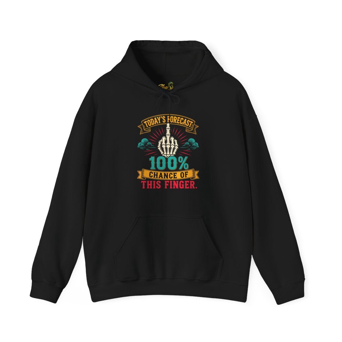 Today's Forecast - Hoodie - Multiple Colors