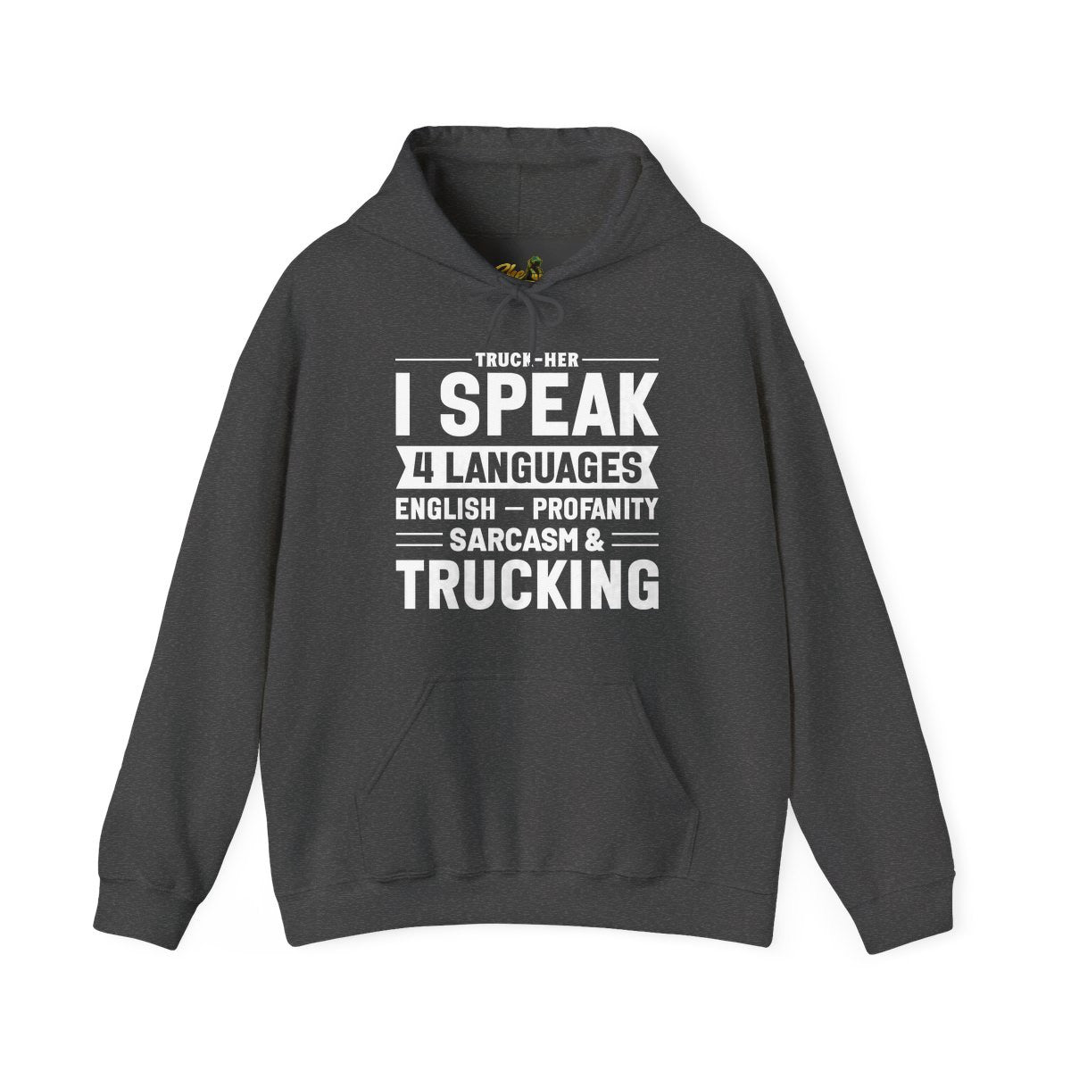 I Speak 4 Languages - Hoodie - Multiple Colors