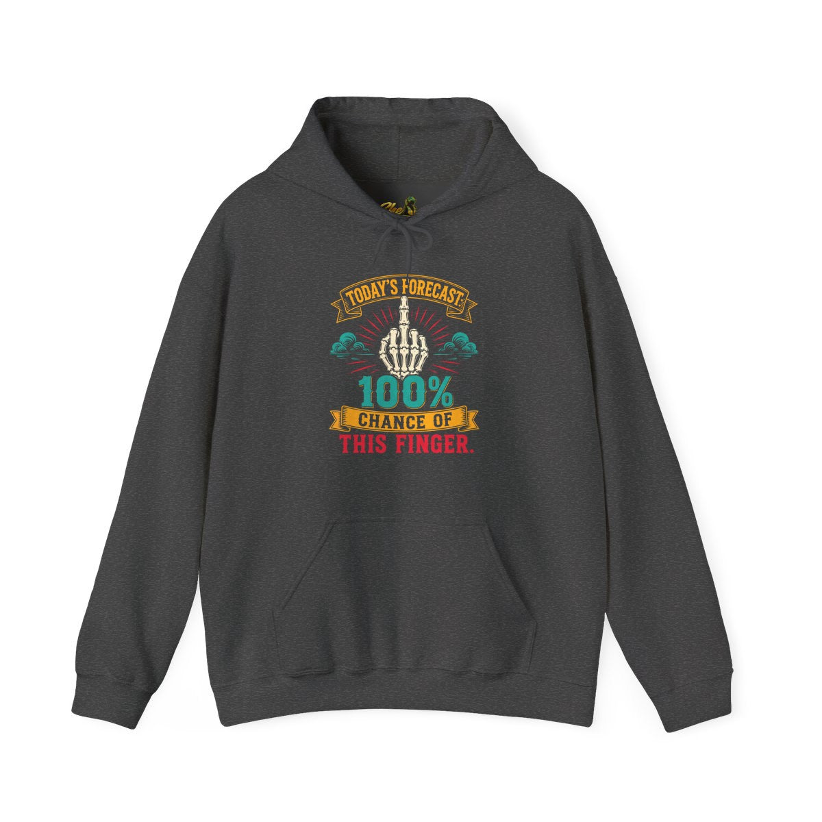 Today's Forecast - Hoodie - Multiple Colors