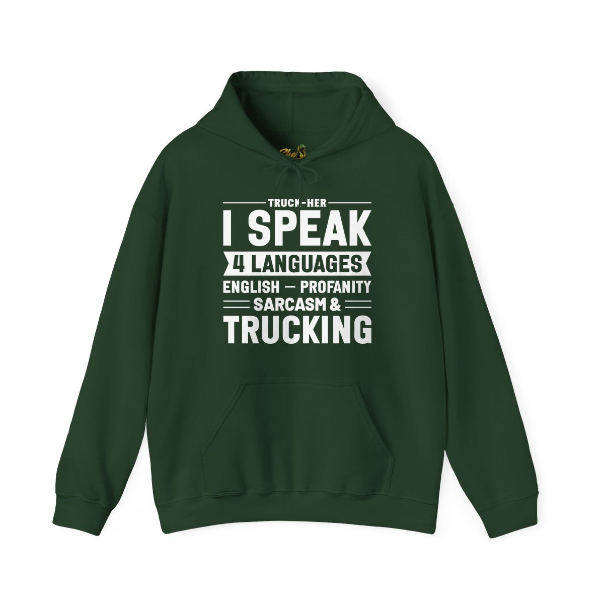 I Speak 4 Languages - Hoodie - Multiple Colors
