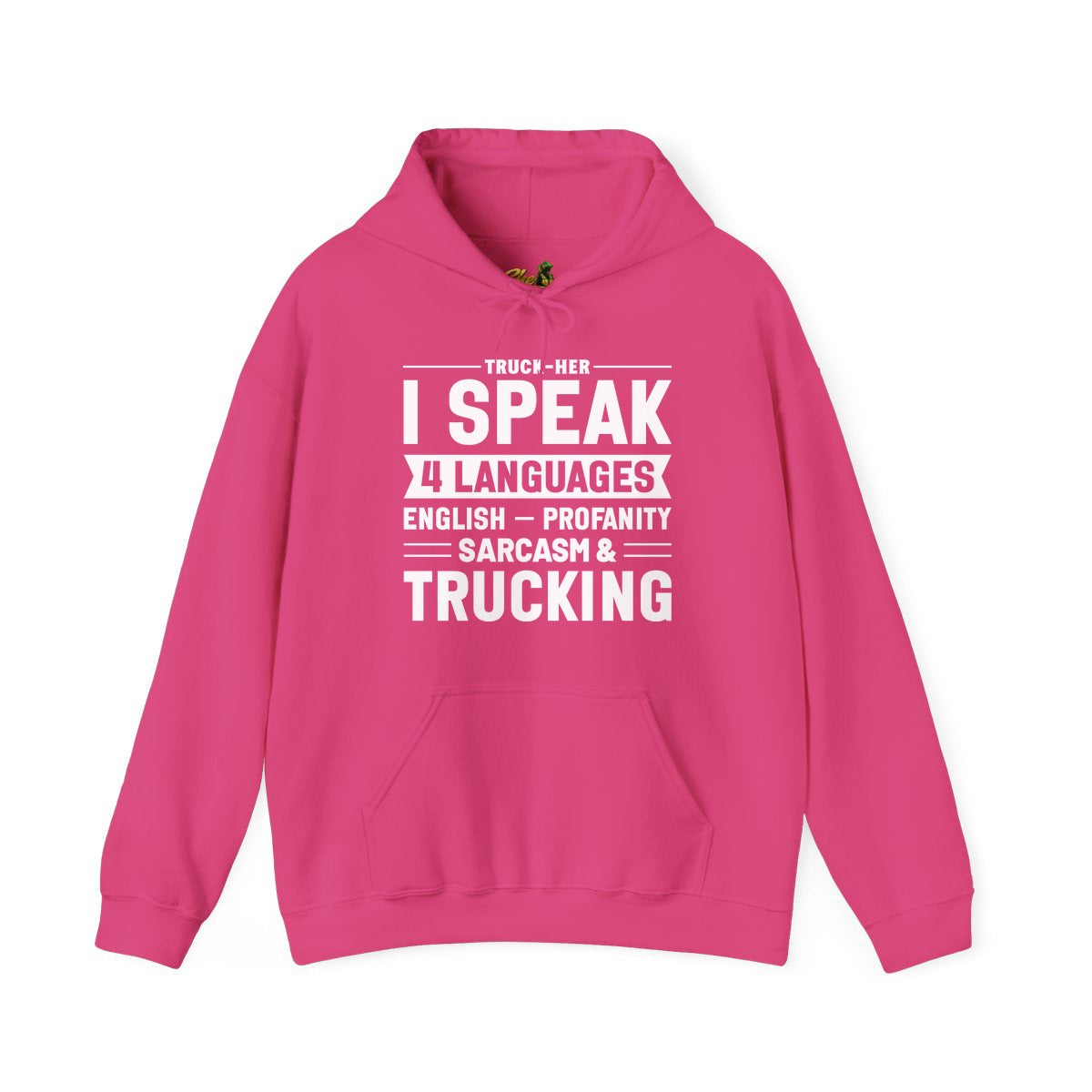 I Speak 4 Languages - Hoodie - Multiple Colors