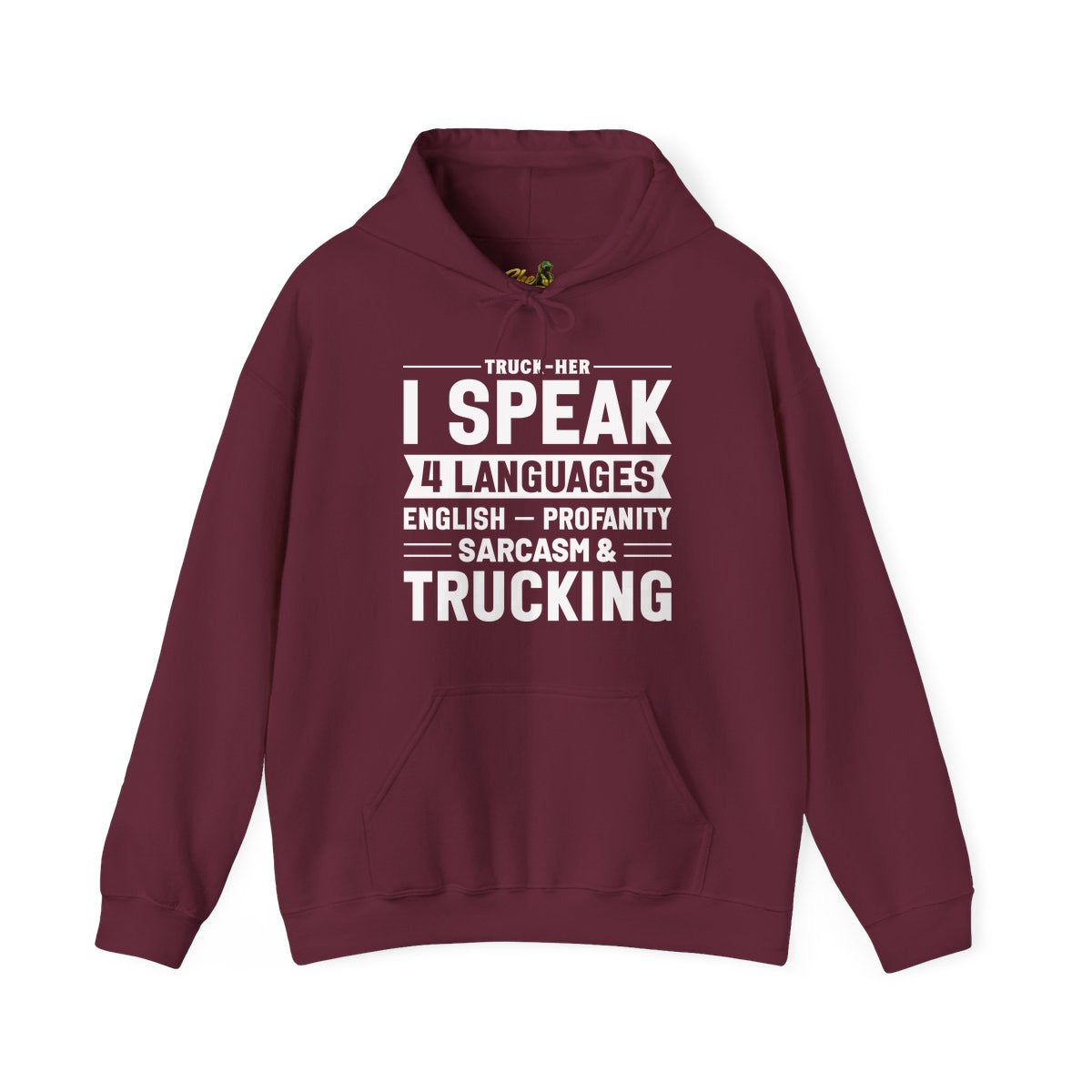 I Speak 4 Languages - Hoodie - Multiple Colors