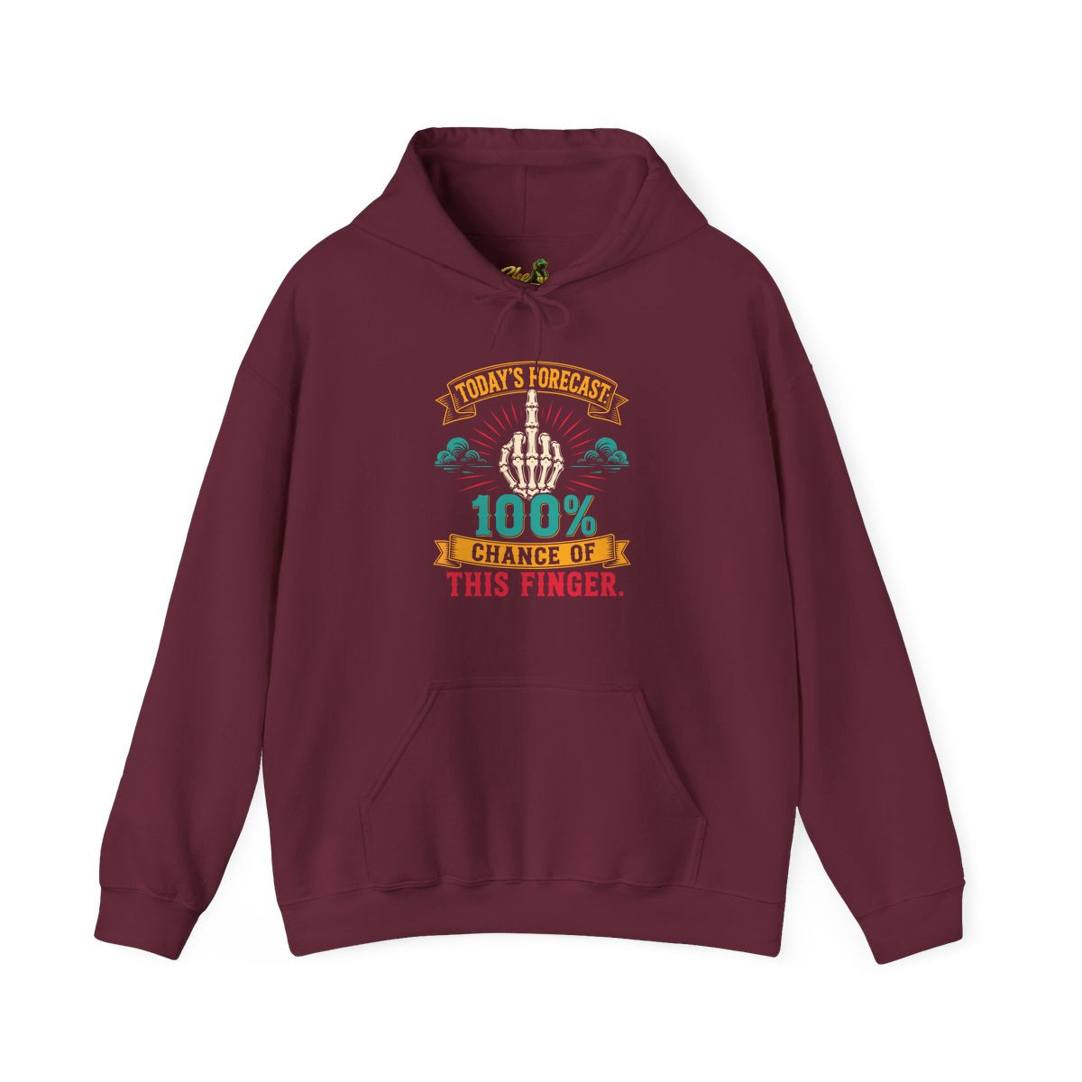Today's Forecast - Hoodie - Multiple Colors