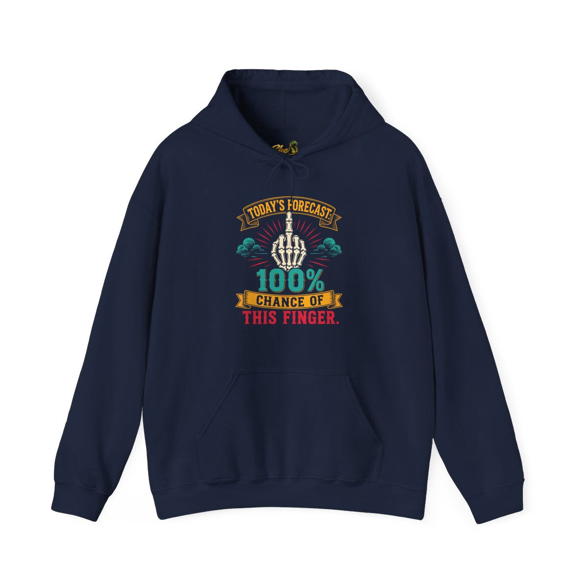Today's Forecast - Hoodie - Multiple Colors