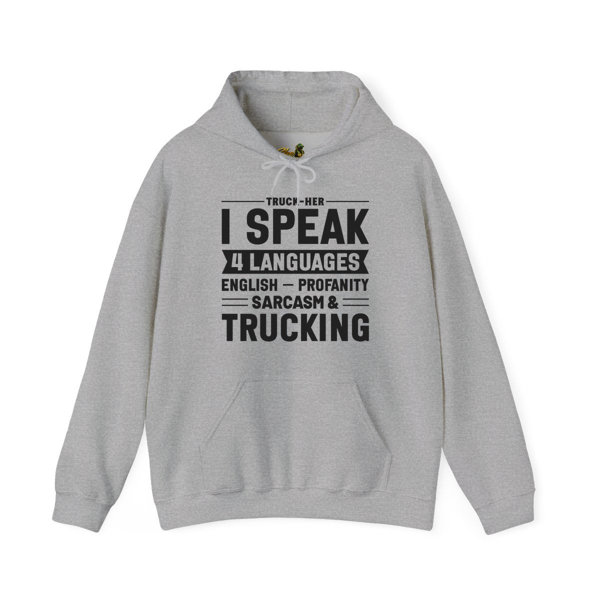 I Speak 4 Languages - Hoodie - Multiple Colors
